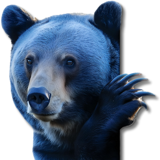 Blue Bear