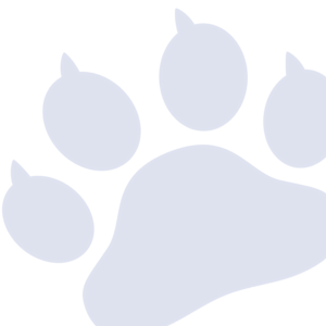 paw-icon