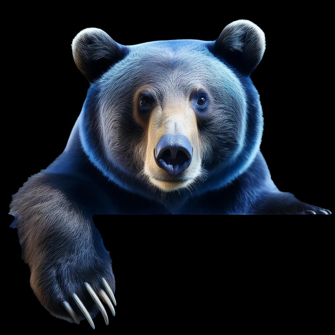 bear